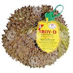 AROY-D, Durian Whole   -18°C, 1x12kg